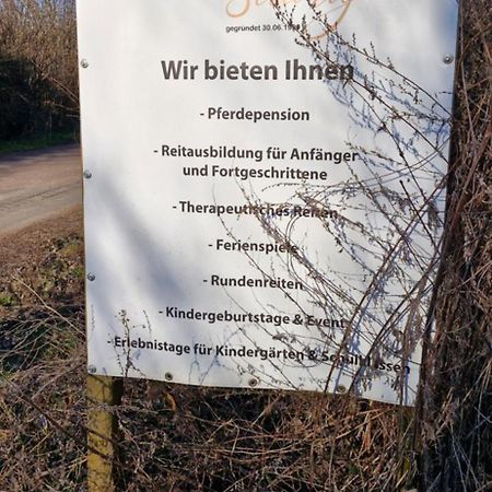 Ferienwohnung Halle/Lettin Halle  Eksteriør bilde
